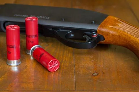Shotgun and Shells Stock Photos