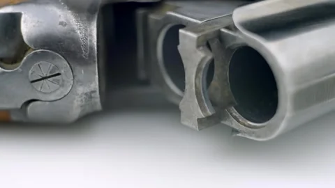 Shotgun with an empty chamber Stockbeeldmateriaal 262507275