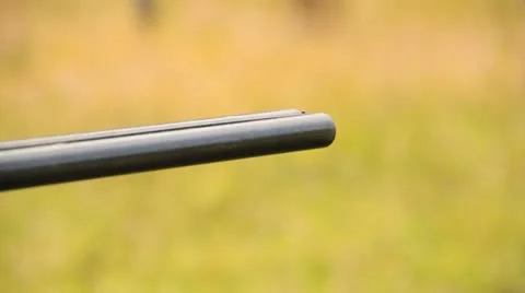 Shotgun Stock Footage 22025439