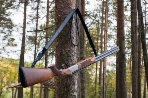 Shotgun hanging on the tree Stock Photos