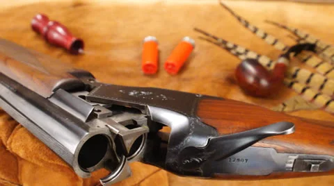 Shotgun Hunting Видео 24400245