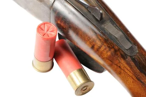Shotgun Macro Stock Photos