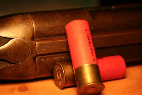 Shotgun Stock Photos