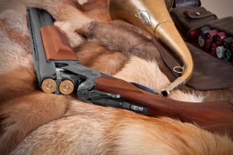 Shotgun Stock Photos
