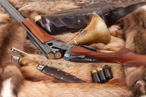 Shotgun Stock Photos