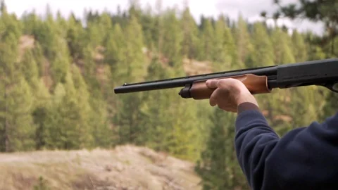 Shotgun Reload II Stock Footage 128070120