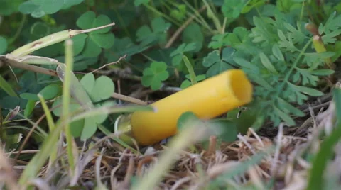 Shotgun Shell Falling Into Grass Stock Footage 46692016