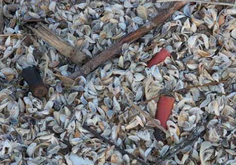 Shotgun Shell Stock Photos