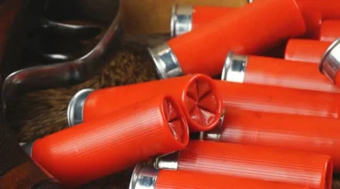 Shotgun Shells Ammunition Stock Footage 12202834