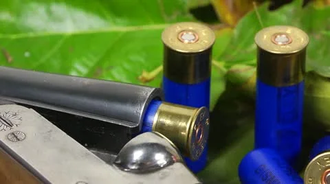 Shotgun, shells and autumn leafs Stock Footage 12150335