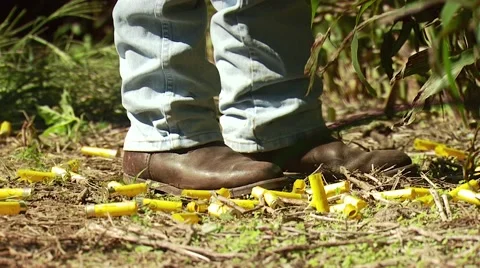 Shotgun shells falling on field Stock Footage 54591872