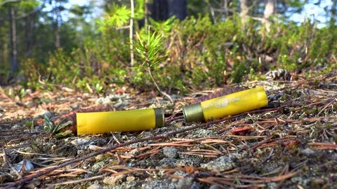 Shotgun Shells Falling Stock Footage 195959369
