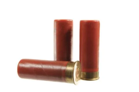 Shotgun Shells Foto stock