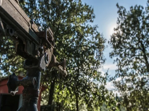 Shotgun in the woods Stock Footage 77465641