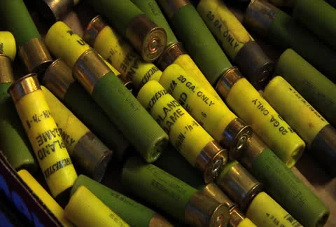 ShotgunShells Stock Footage 23204242