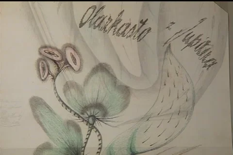 Shots of automatic possessed writing, goblin photo ectoplasm being, 2002 Czechia 스톡 동영상 170073399