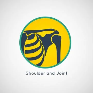 Shoulder and Joint vector Stock Illustration