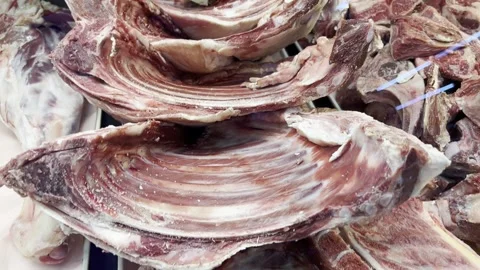 Shoulder Baby Lamb 스톡 동영상 239869411