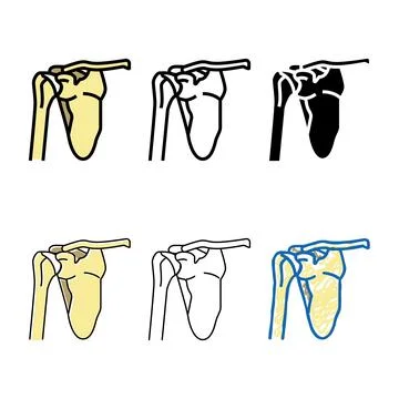 Shoulder bone color forms icon vector Stock Illustration