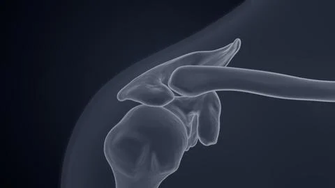 Shoulder bones X-ray of 3D illustration Stock Illustration