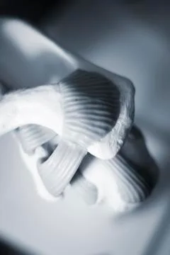 Shoulder joint meniscus model Stock Photos