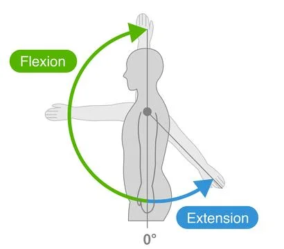 Shoulder joint motion and direction of motion Stock-Illustration