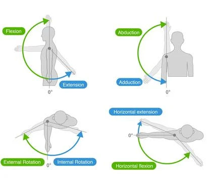 Shoulder joint motion and direction of motion Stock-Illustration