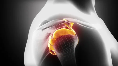 Shoulder moving ligaments and joint anatomy in x-ray Stock Footage 25207694