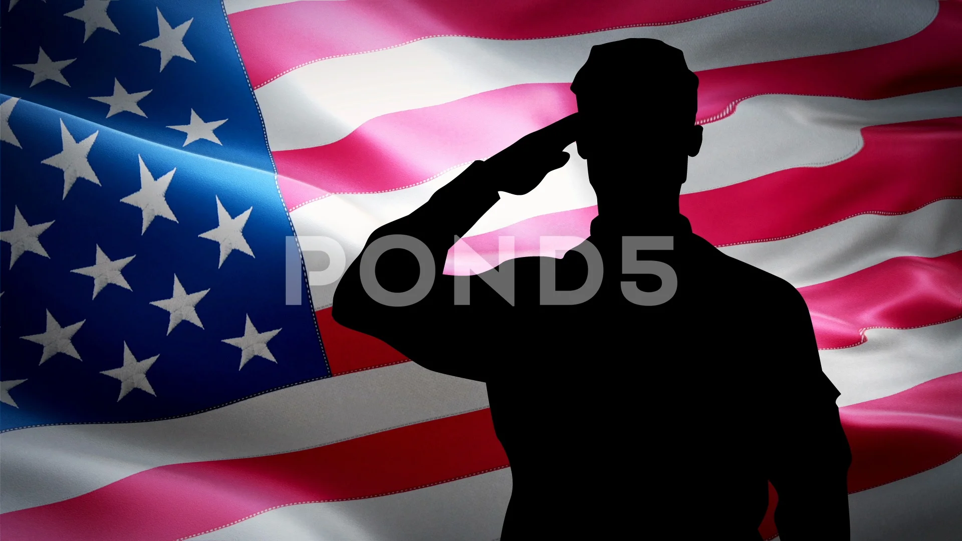 soldiers salute silhouette