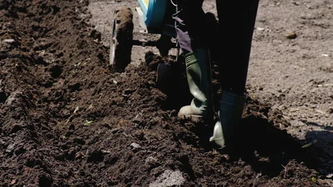 Shouting a vegetable garden with a plow with a tractor. Selective focus. Stock Footage 154513378