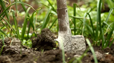 Shovel To Dig The Ground Stock Footage 37766627