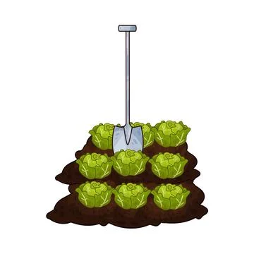 Shovel digging cabbage illustration Stock Illustration
