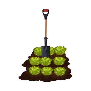Shovel digging cabbage illustration Stock Illustration
