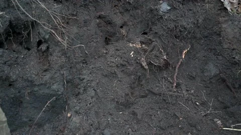 A shovel digging loose dirt closeup Stock Footage