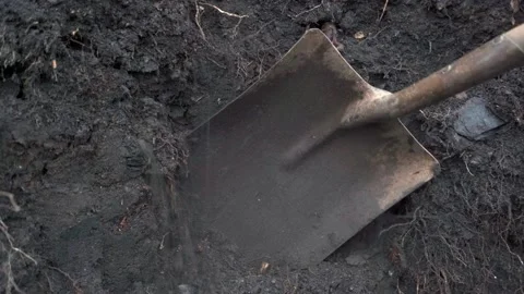 A shovel digging through dirt and tree roots Stock Footage