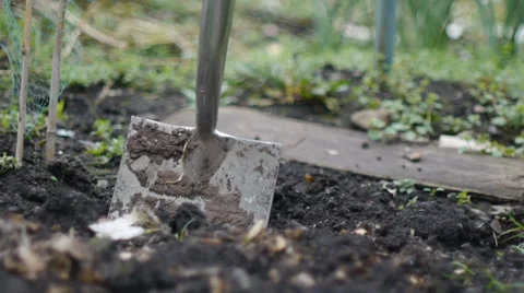 Shovel Digs into Soil Stock Footage 36940441