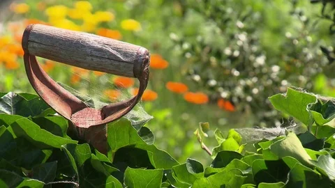 Shovel in flowerbed Stock Footage 78089484