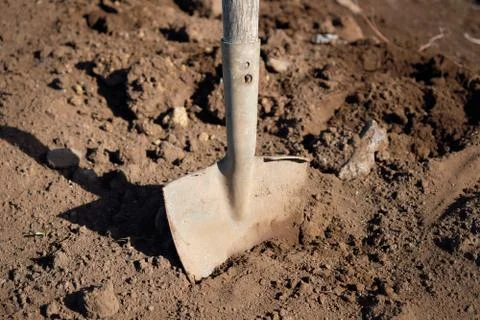 Shovel in the ground Stock Photos