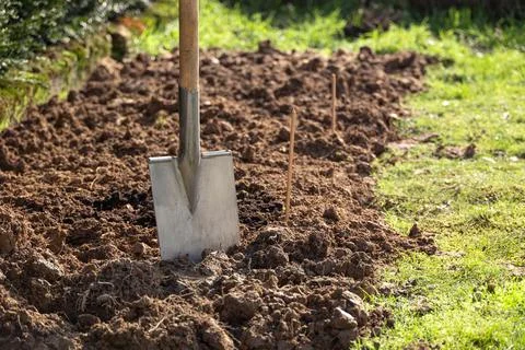 Shovel in ground Stock Photos