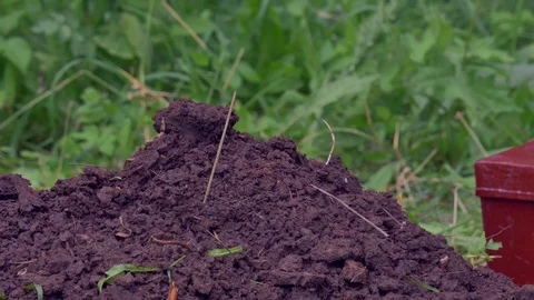 The shovel in the ground stab Stock Footage 78182891