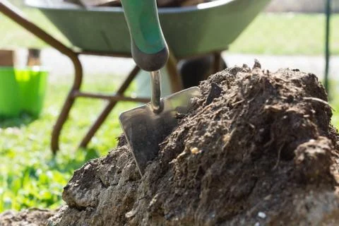 Shovel Fotos Stock