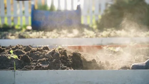 Shovel pouring compost soil onto raised garden bed close-up in sunlight Stock Footage 339418071