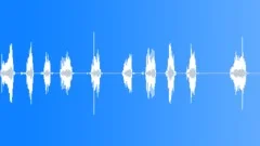 SHOVEL, SCRAPE Sound Effect
