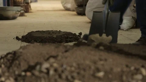 Shoveling soil Stock Footage 77048127