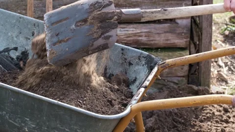 Shoveling Soil into Wheelbarrow  Stock Footage 335330282