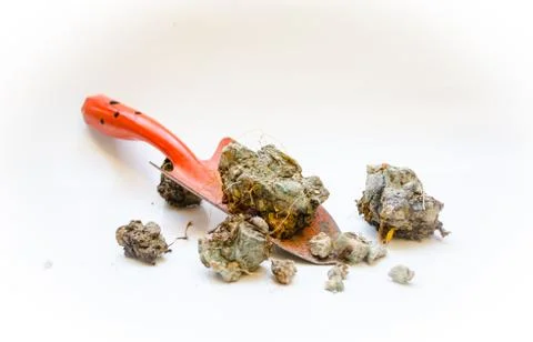 Shovels digging Stock Photos
