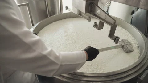 Shovels the mixture for making cheese. Close-up of a hand with a spatula. Cheese Vídeo Stock 177575191