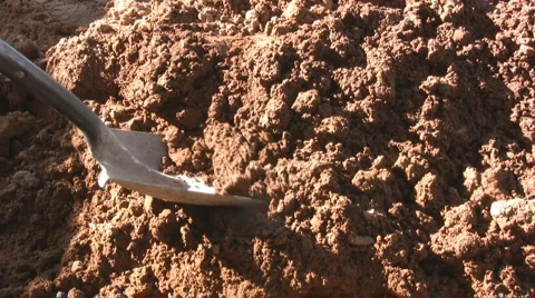 Shoving Stock-Footage 2257671