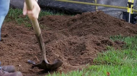 Shovling Dirt Stock Footage 19262223