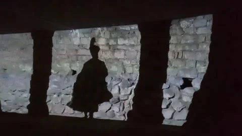 Show inside Chateau de Chillon Stock Footage 247036654